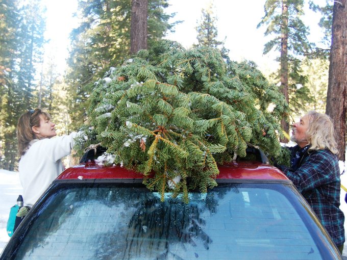árbol de Navidad en el coche