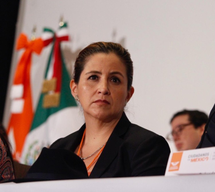 La diputada Martha Tagle. (Twitter | @MarthaTagleMed)