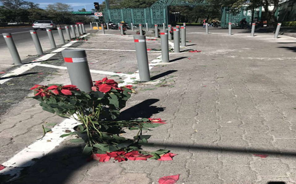 Las 15 nochebuenas que adornaban la entrada fueron reubicadas debido a que se maltrataban por el gran flujo de personas.