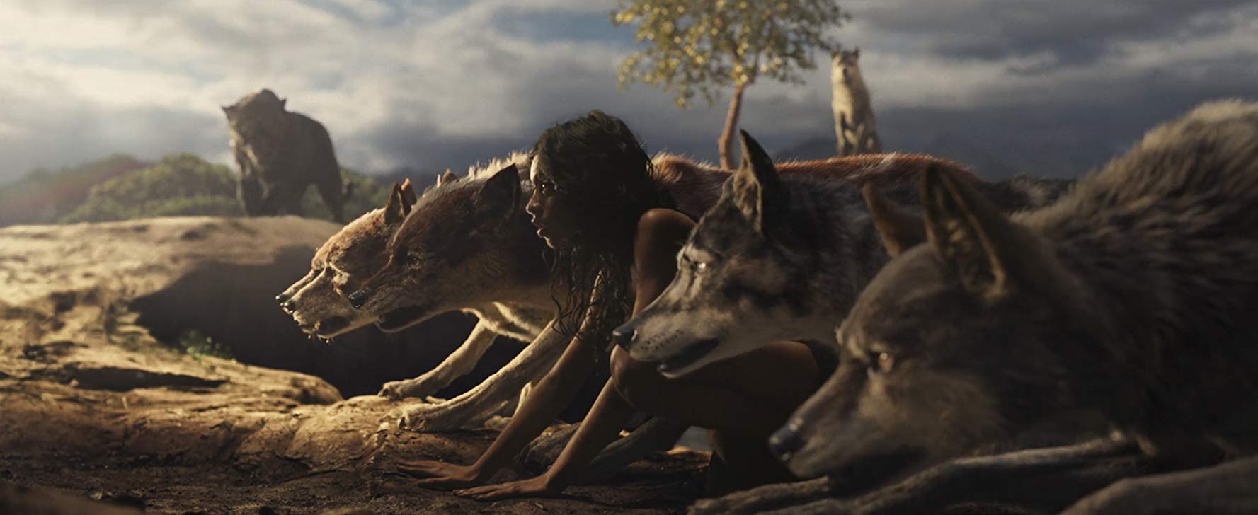 'Mowgli: Relatos del Libro de la selva'. (Especial)