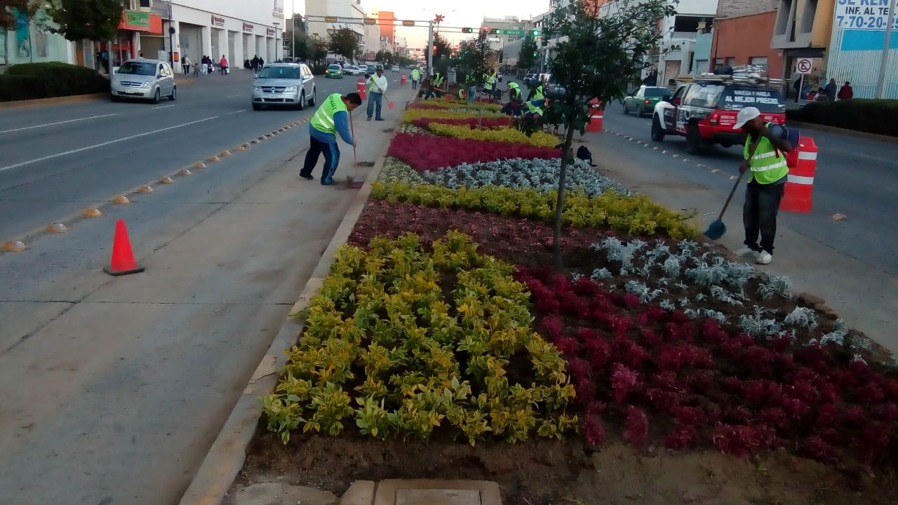 Convierten ex paraderos  del SIT, en áreas verdes para León