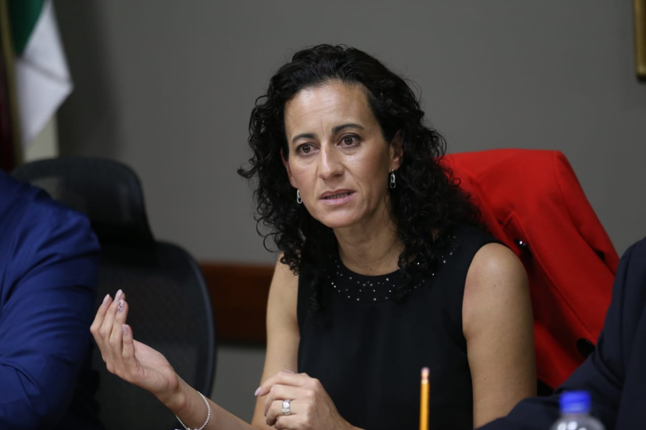 Guillermina Vázquez Benítez, consejera presidente del IEEH. (Jorge Sánchez)