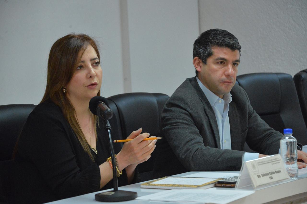 La legisladora panista, Gabriela Salido dijo que esto abonará a la descentralización del poder público. (Cinthya Stettin)