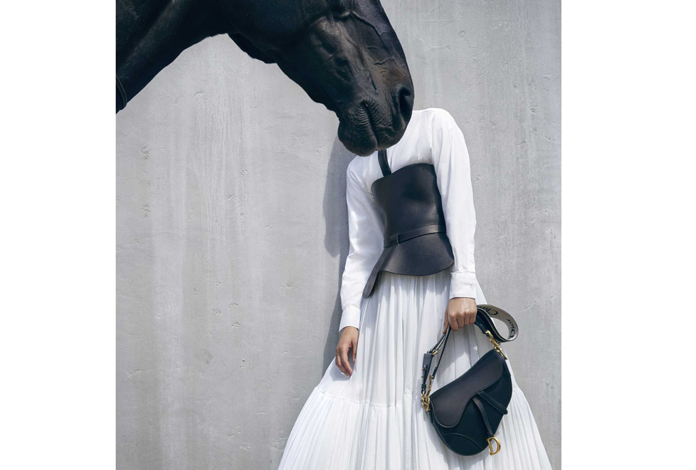 Saddle bag de Dior.