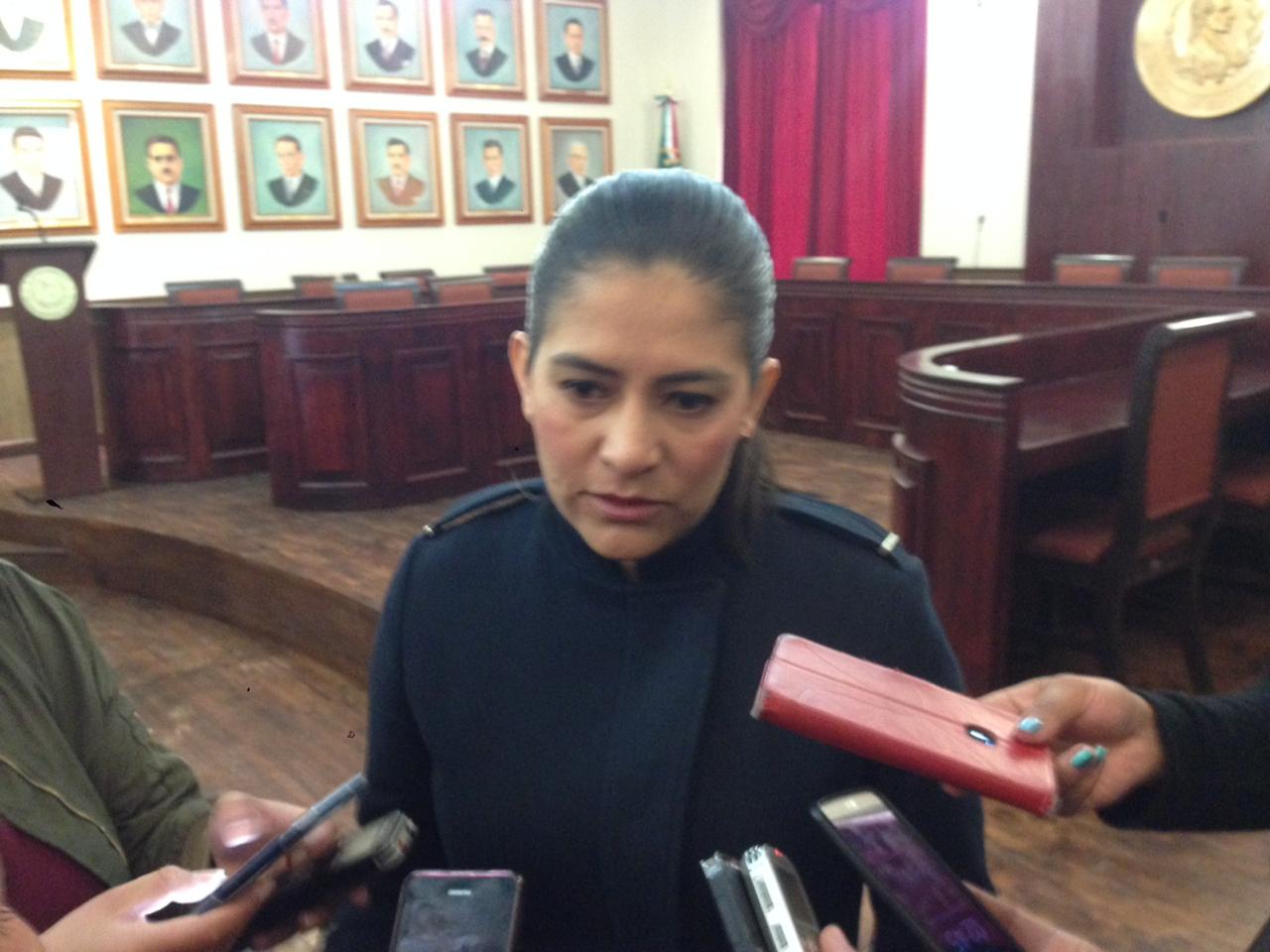 Liliana Verde Neri, regidora de Pachuca. (Teodoro Santos)