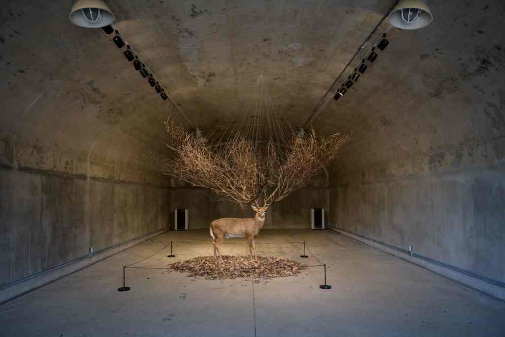 Corea del Sur. Una instalación artística dentro de una tienda de municiones fuera de servicio en Camp Greaves. (AFP)