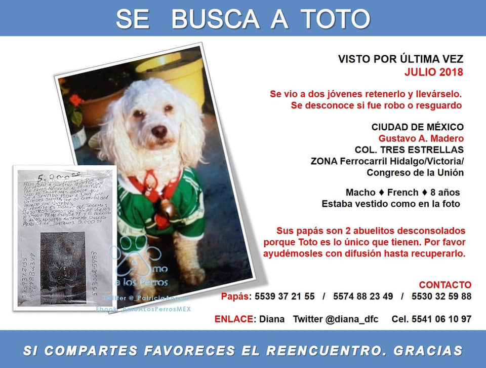 Ficha de Toto. (Especial)