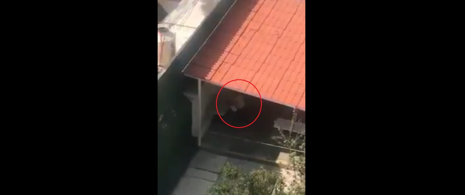 El menor fue agredido por una hombre en el colegio. (Captura de video)