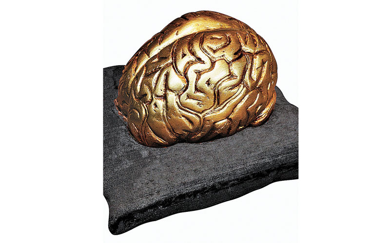 Al desarmarla me topé con un resplandeciente cerebro de bronce. (Especial)