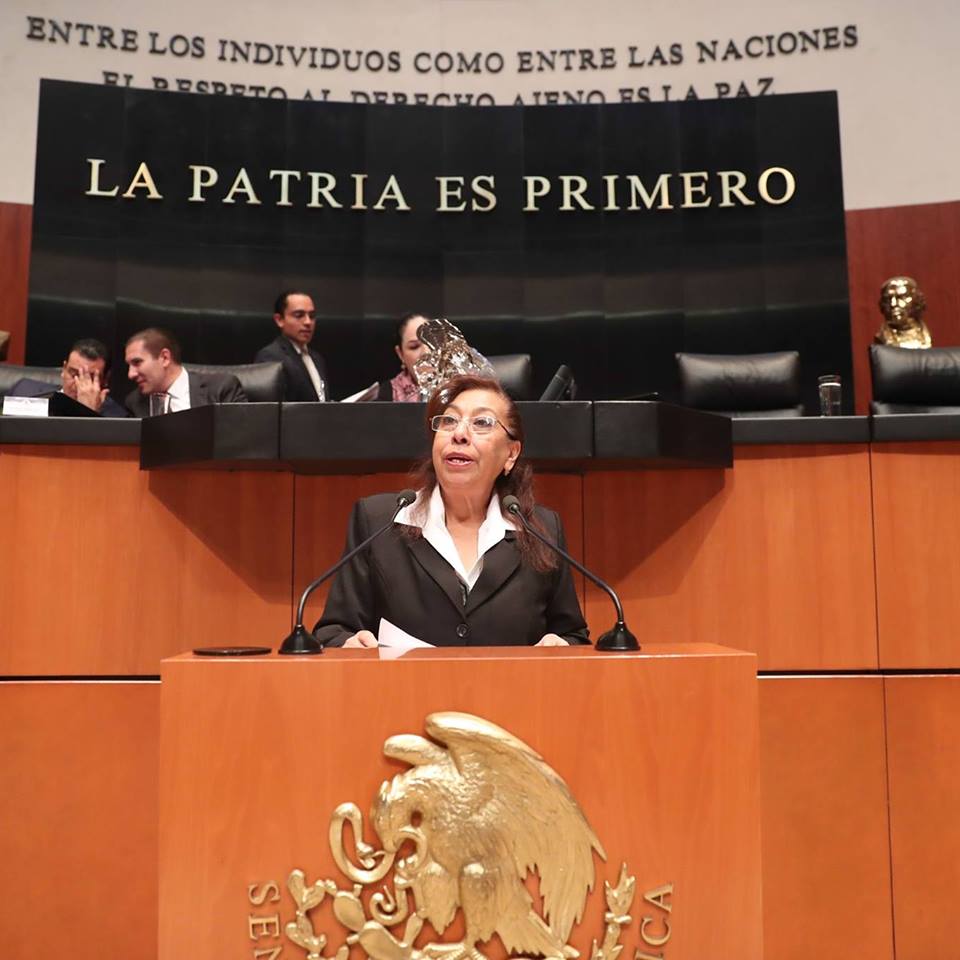 Desde septiembre de este año ocupó el escaño en donde fue secretaria de la Comisión de Minería.