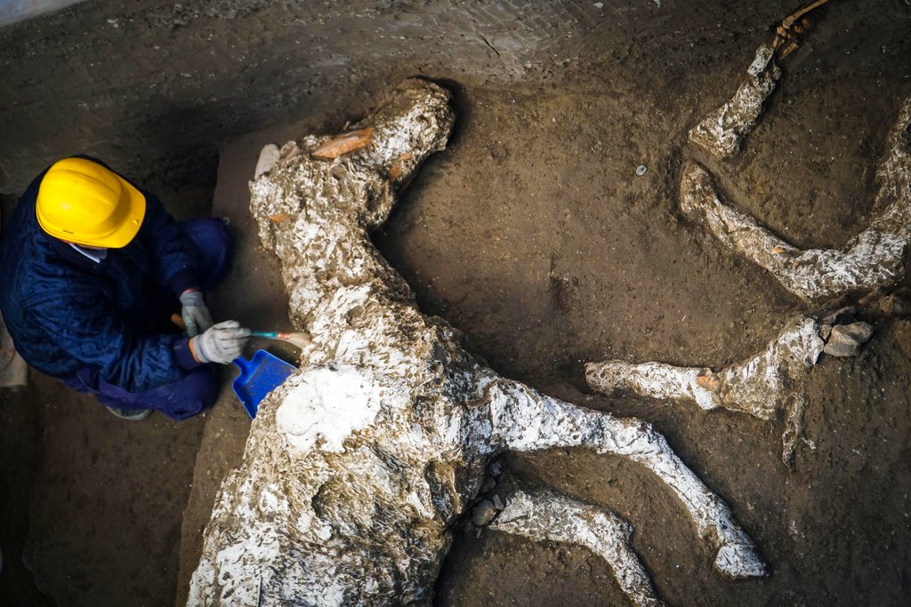 Se cree que los caballos estaban atados cuando los sorprendió la erupción del Vesubio. (AP)