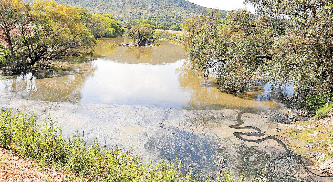 A lo largo de su cauce de 24 kilómetros, por el río Tula corren 250 metros cúbicos de aguas negras por segundo. (Javier Ríos)