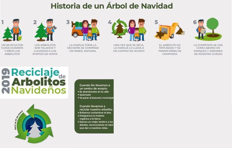 Los árboles acopiados serán triturados para convertirlos en acolchado o composta. (Especial)