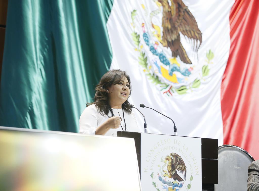 La senadora agradeció al Presidente de la República por dar informes puntuales sobre el accidente (Especial)