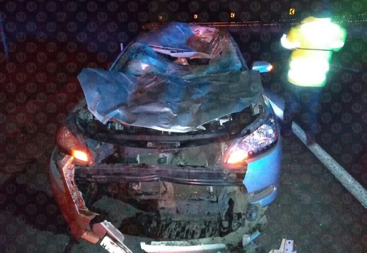 El auto embistió a los caballos en el kilómetro 29 de la autopista. | Jorge Becerril