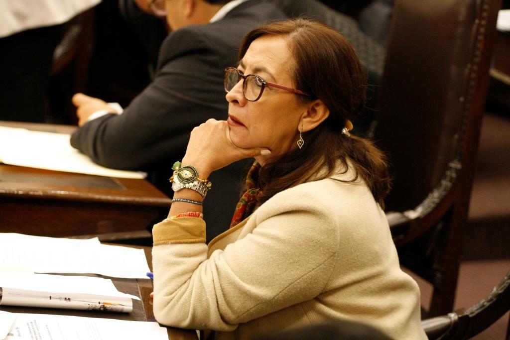 Coordinadora de diputados del Partido Revolucionario Institucional (PRI), Rocío García Olmedo (Miguel Romero)