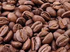 Semilla del café (Especial).