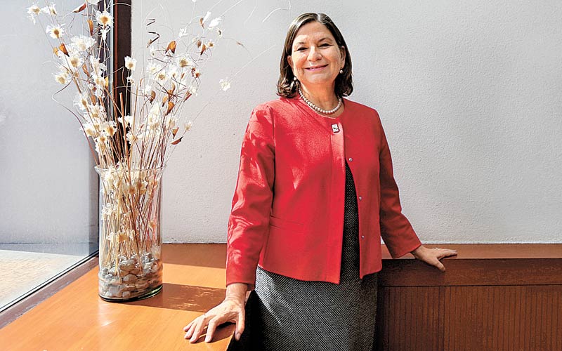 Bárcena confirmó que hasta el momento no se ha tratado el tema del muro. (Nelly Salas)