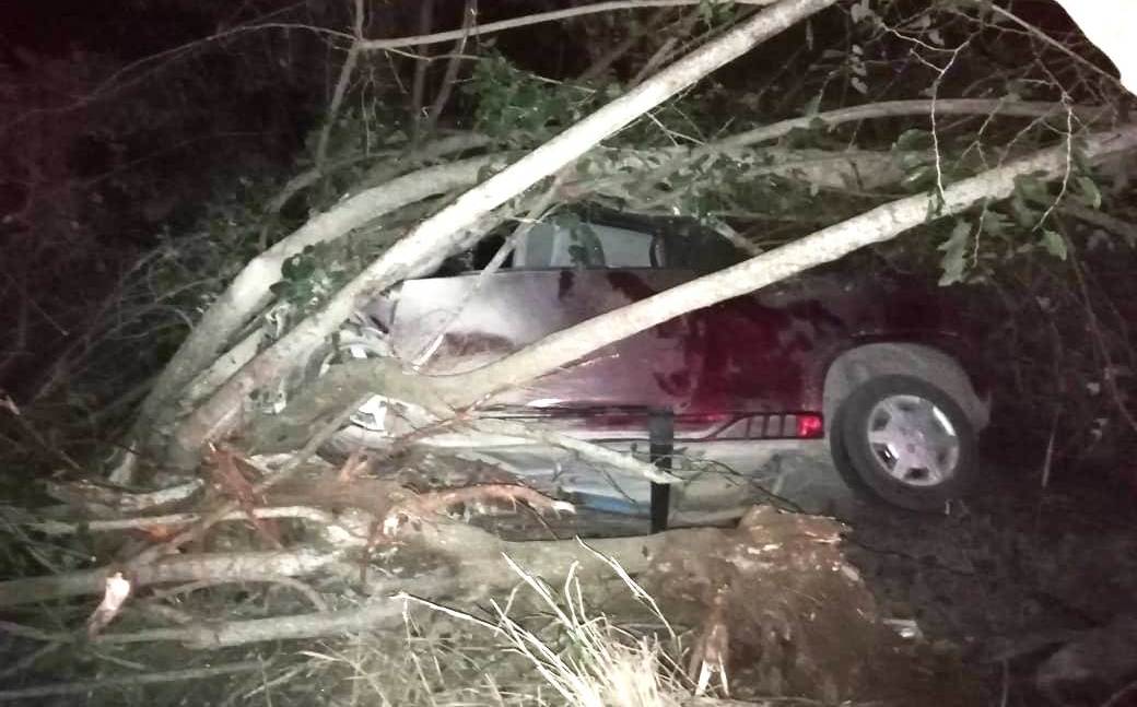 Camioneta choca contra árbol, conductor sufre graves heridas- Grupo Milenio