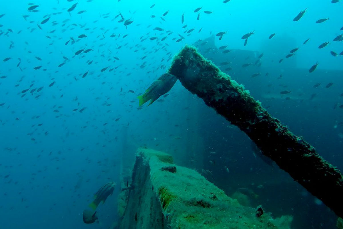 Vista del buceo en barcos hundidos. (Dive in La Paz)