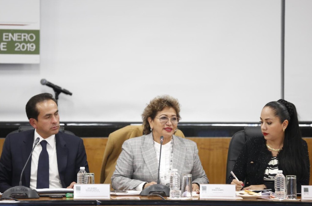 La alcaldesa de Acapulco participó en la mesa "Los municipios ante la problemática de inseguridad" en San Lázaro. (Twitter | @CanalCongreso)
