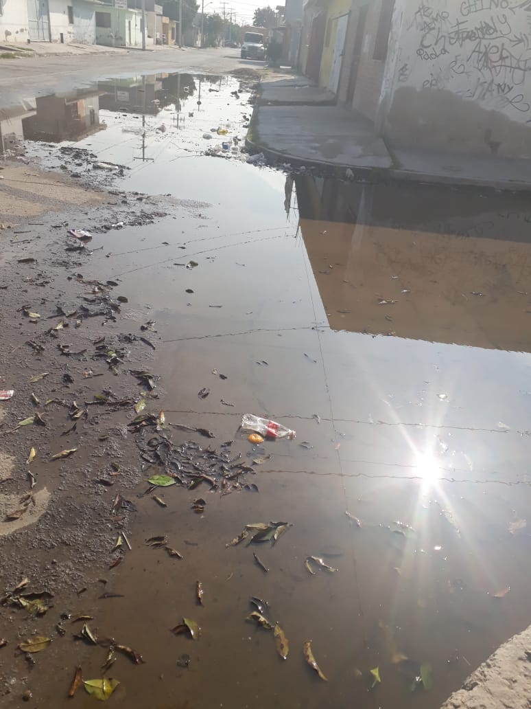 Son tres colonias afectadas con brote de aguas negras. (Especial)