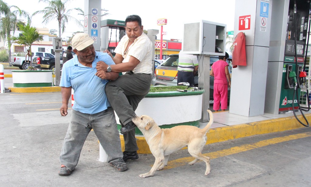 El perro 'Randy', defendió a despachador.