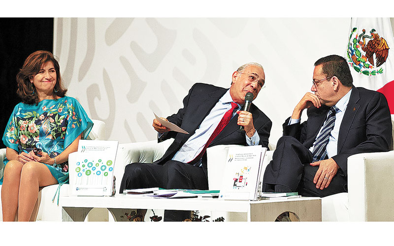 El secretario general de la OCDE, José Ángel Gurría, y el director del instituto, Germán Martínez. (Omar Franco)