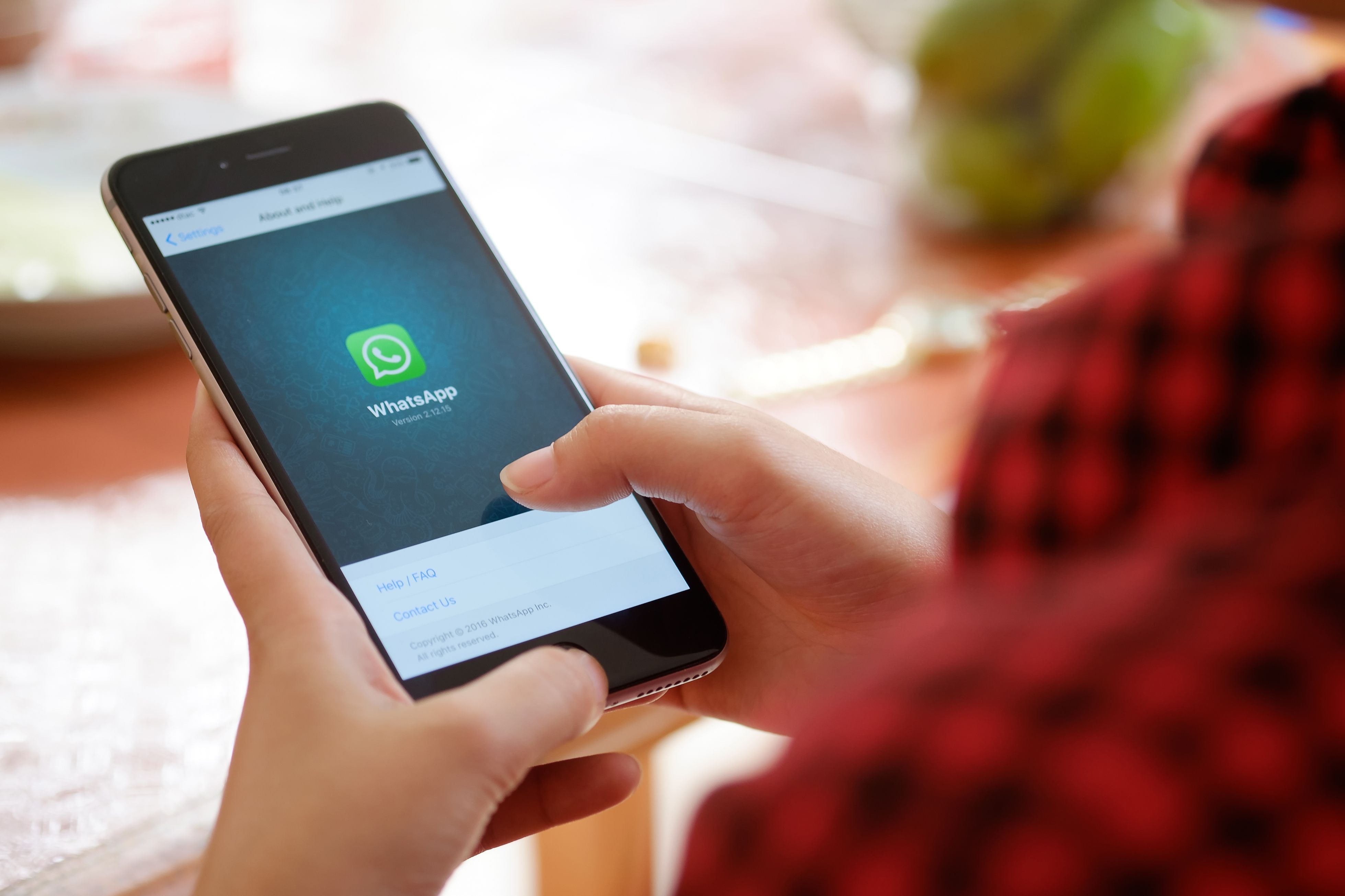 WhatsApp quiere hacer más segura su aplicación. (Shutterstock)