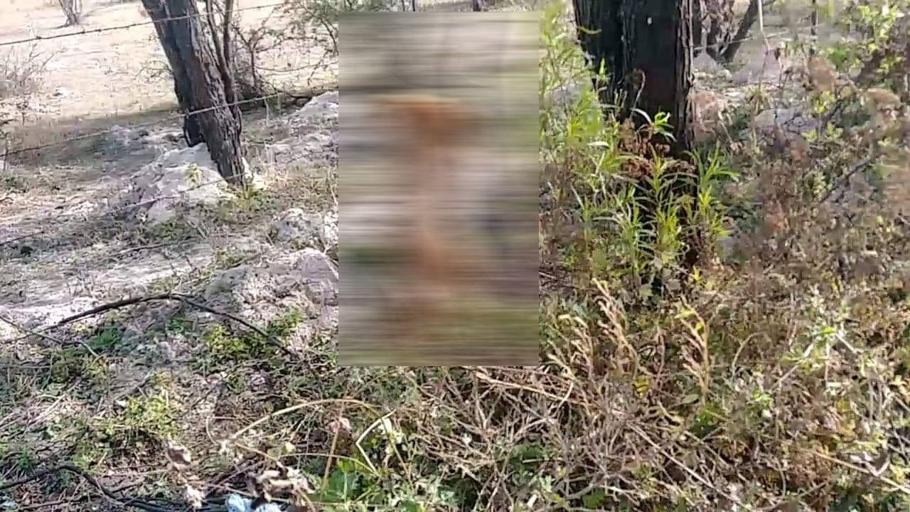Se encontró el martes alrededor de las 11:00 horas en el callejón de los Novillos de la colonia Azteca. (Especial)