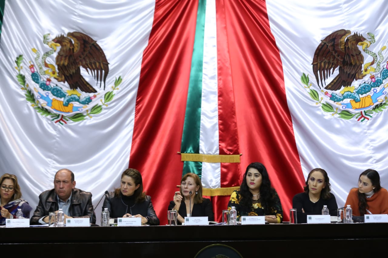 Tatiana Clouthier participó en el tercer día de audiencias sobre la Guardia Nacional en San Lazaro  (Octavio Hoyos)
