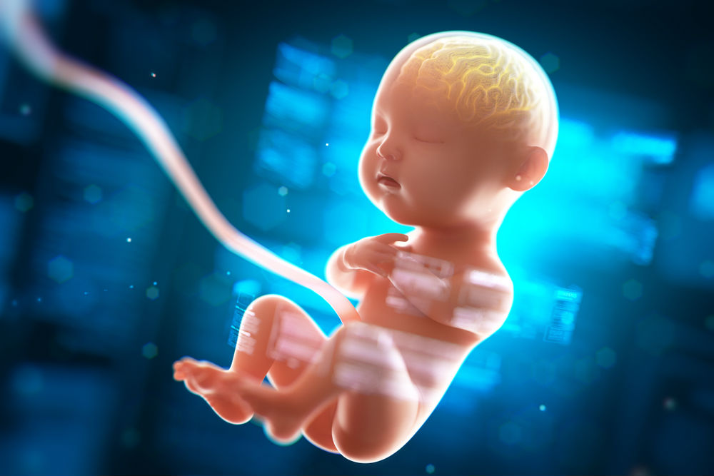 Los científicos no descartan que pronto no se necesite un cuerpo para albergar a un bebé en desarrollo. (Shutterstock)