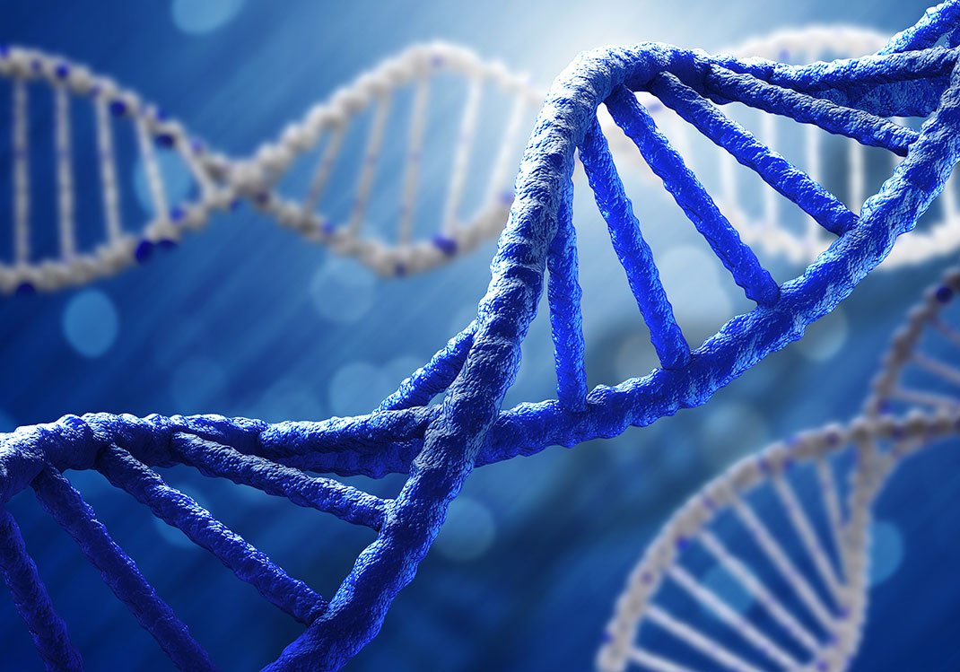 La nueva especie de homínido fue descubierta gracias a la inteligencia artificial. (Shutterstock)