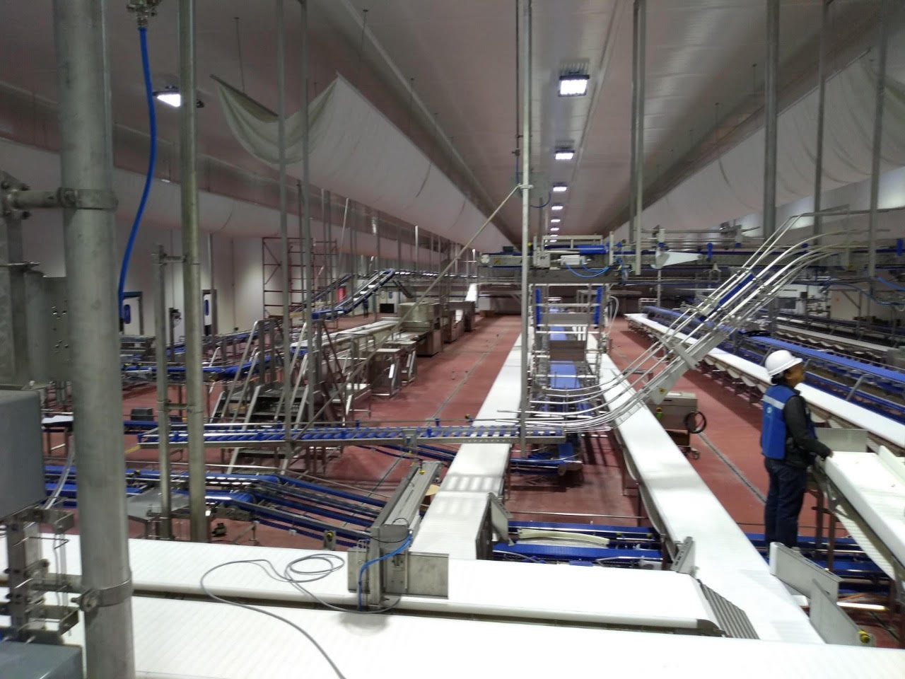 Granjas Carroll de México (GCM) realizó un recorrido previo a la próxima inauguración de su Rastro tipo TIF en Oriental. (Especial)