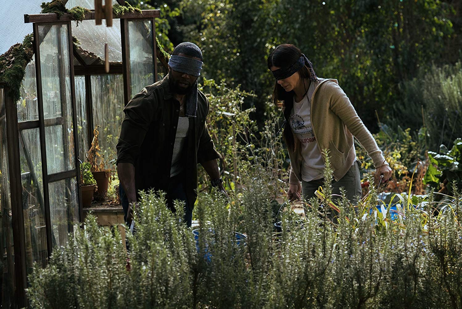 'Bird Box' tiene imágenes reales de un accidente ocurrido en Quebec (Foto: Especial)