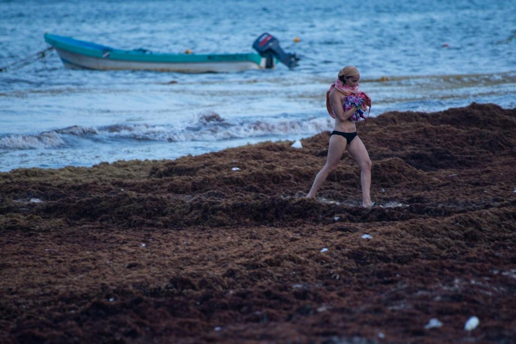 La Semarnat instaló una Comisión para atender la llegada de sargazo en playas de Quintana Roo. (Cuartoscuro)