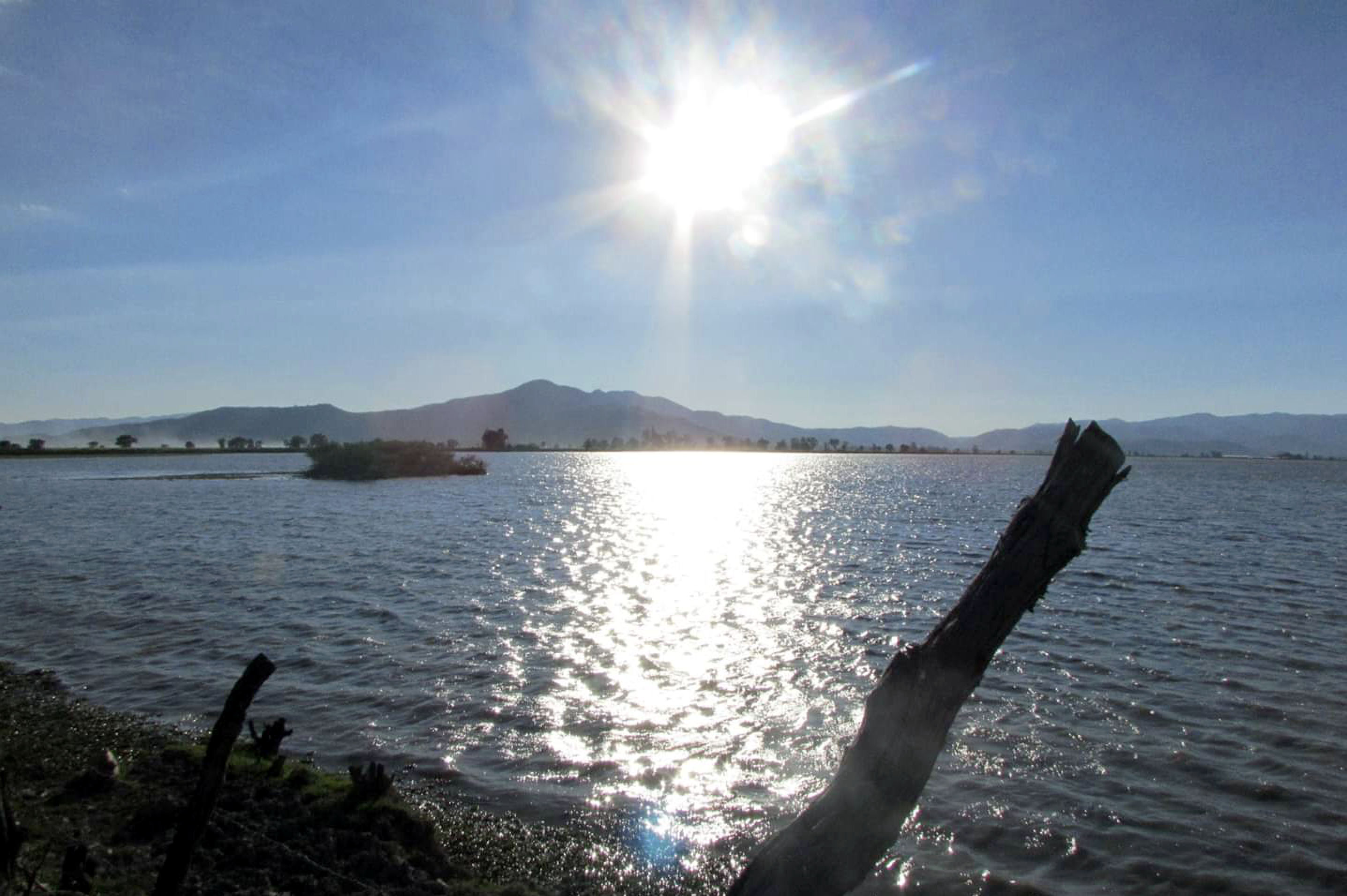 Las chinampas aún se pueden percibir en la ribera de la exlaguna. (CORTESÍA)