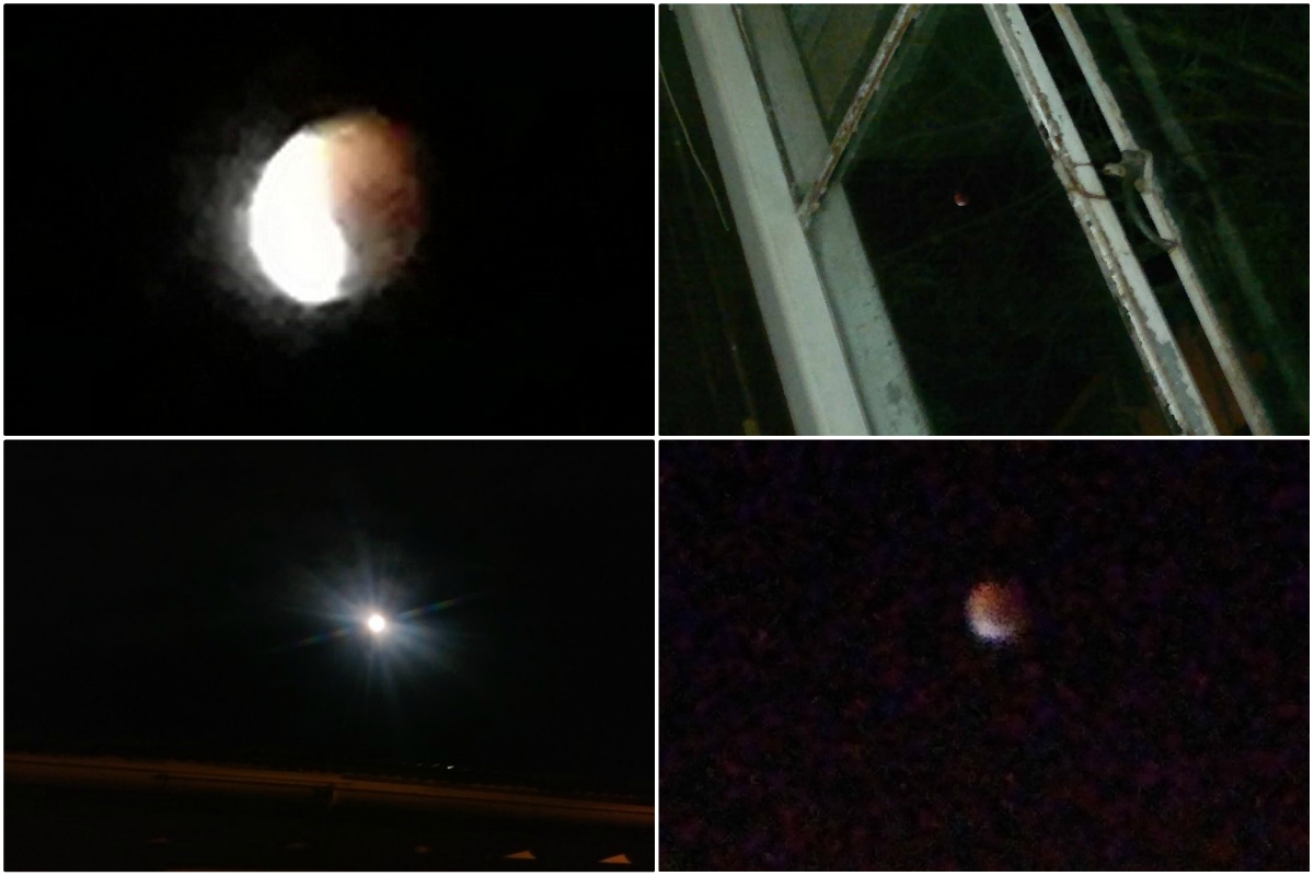 Algunas de las peores imágenes del eclipse lunar. (Twitter)