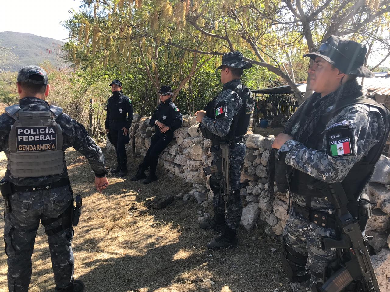 Fuerzas federales apoyan en la búsqueda de desaparecidos en Guerrero. (Especial)