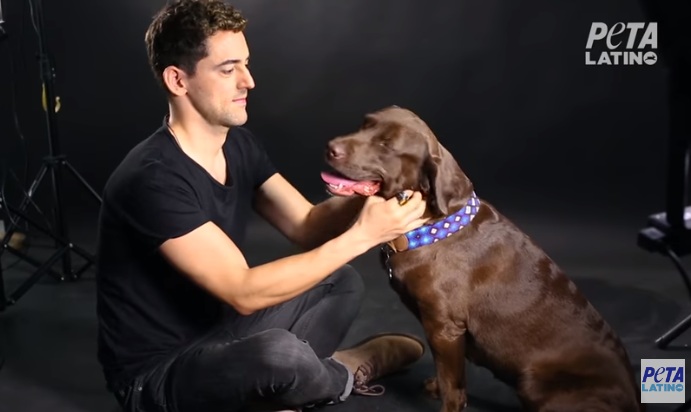 Luis Gerardo Méndez . (Foto: Captura de pantalla de YouTube)