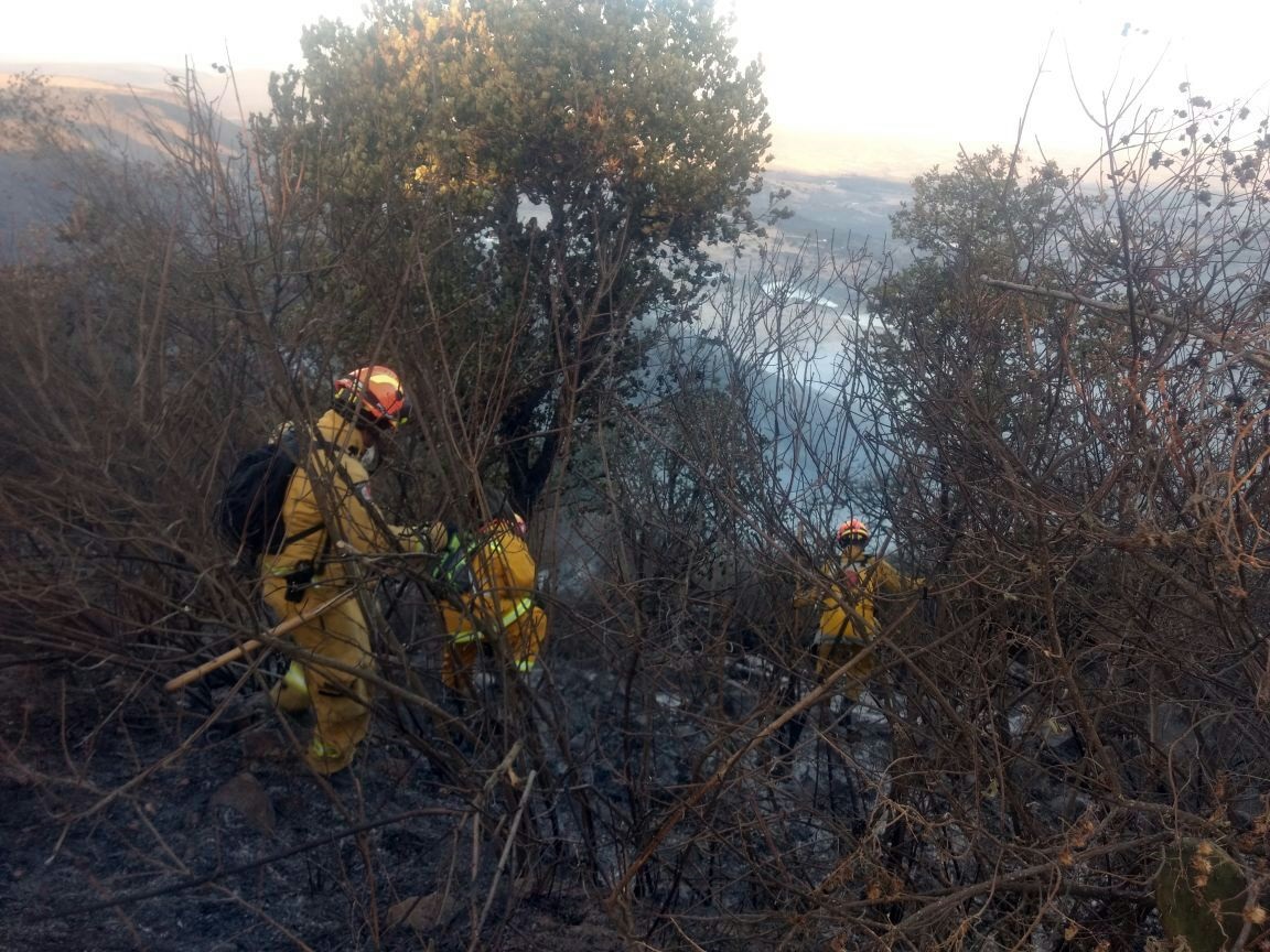 En lo que va del mes de enero se han registrado cerca de 400 incendios