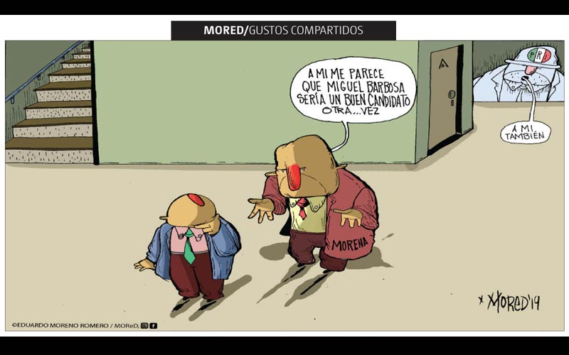 Gustos compartidos