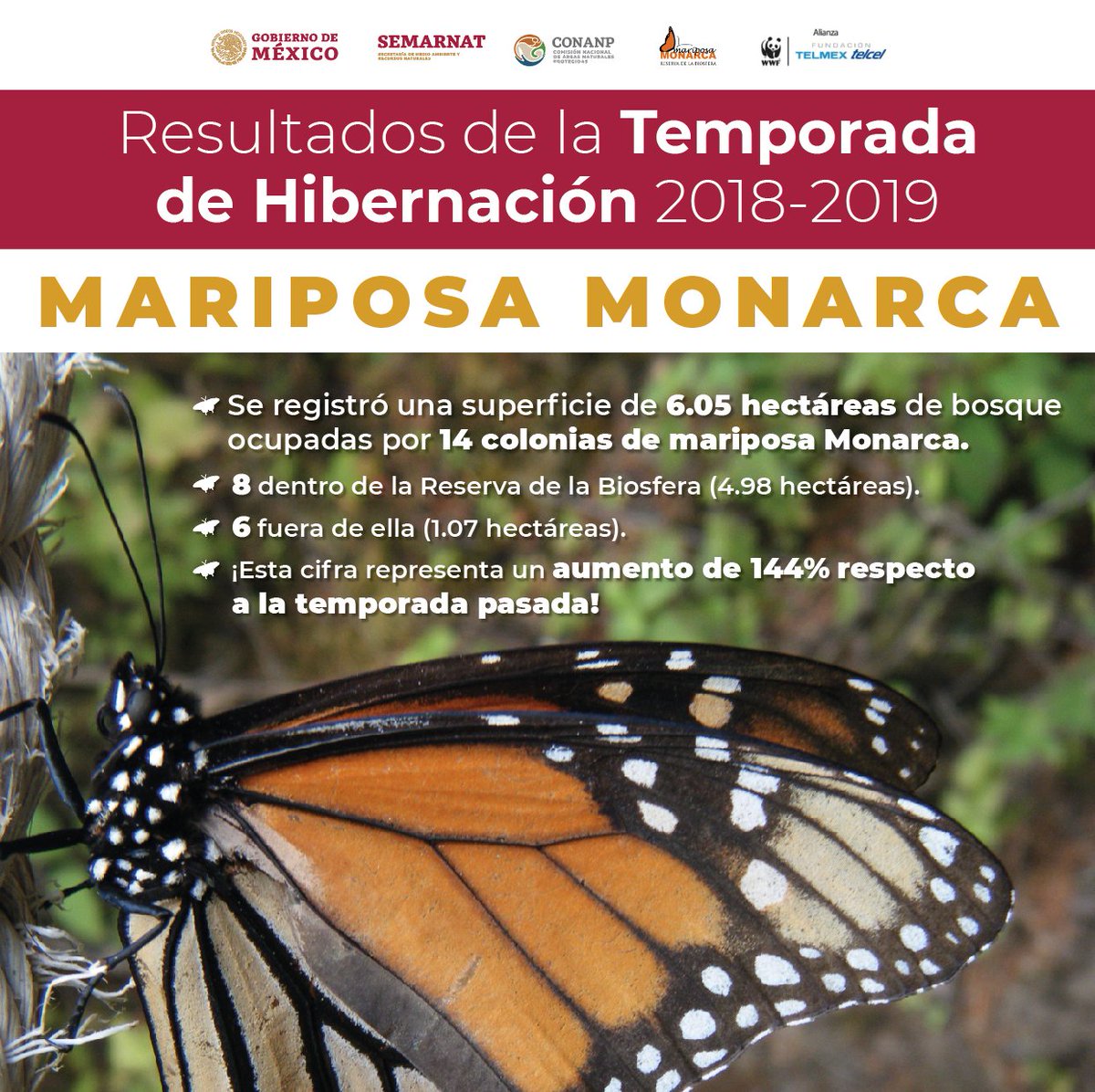 La CONANP informó que se registraron 14 colonias (Cortesía)