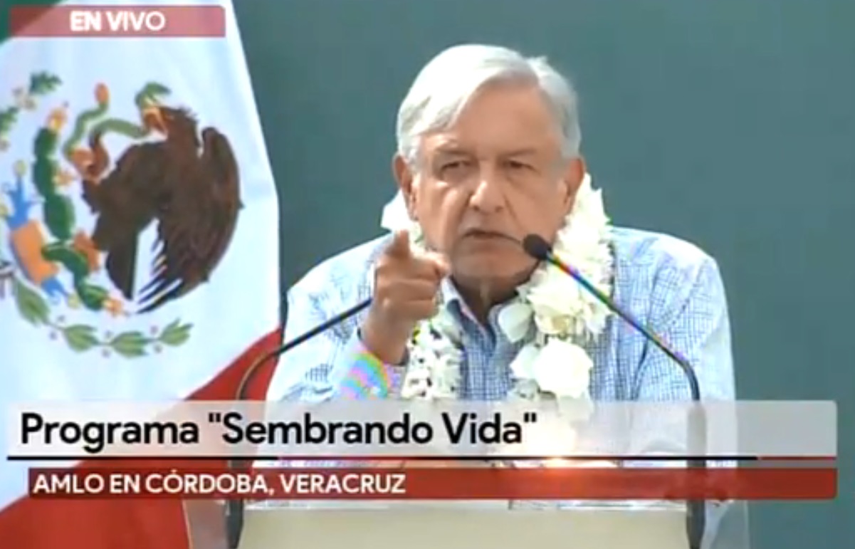 El presidente Andrés Manuel López Obrador en la presentación del programa Sembrando Vida en Veracruz (Especial)