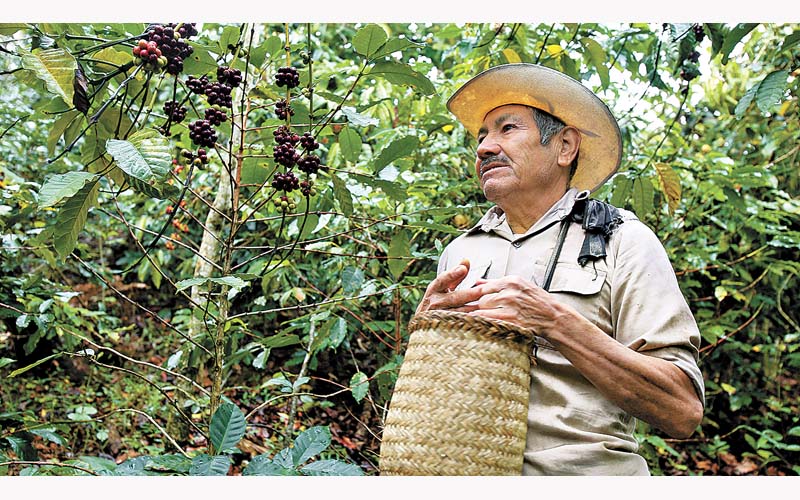 Ruperto Régulo Cuacua, cafetero en Huatusco, quien fue homenajeado por la empresa y hoy se opone a ella. Juan Carlos Bautista