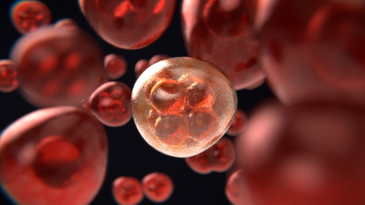 4 de febrero: Día Mundial contra el Cáncer. (Especial)