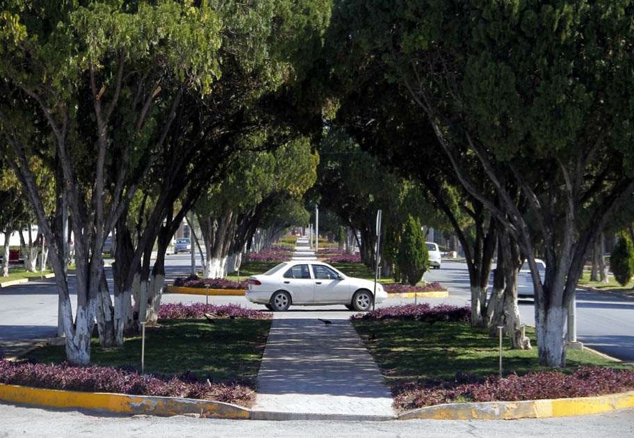 La colonia Torreón Jardín. (Manuel Guadarrama)