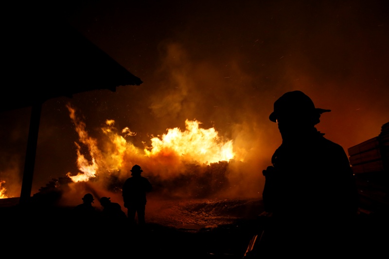 Las primeras investigaciones indican que los incendios habrían sido provocados.