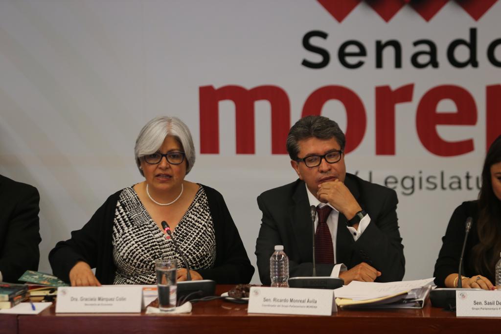 Graciela Márquez Colín, Secretaria de Economía, en reunión plenaria en el Senado con las fuerzas de Morena, PT y PES (Jorge Carballo)
