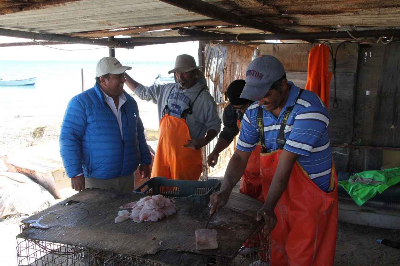 La Sedapa otorgo 4 mil 600 seguros de vida a pescadores de Baja California Sur. (Especial)